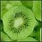 kiwi kiwi